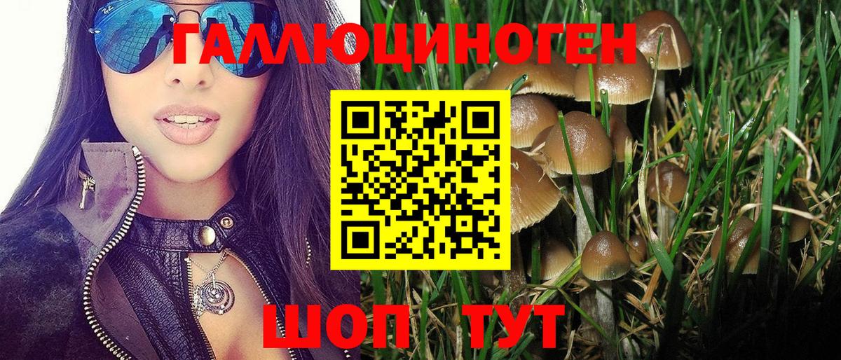 Псилоцибиновые грибы Psilocybe Челябинск